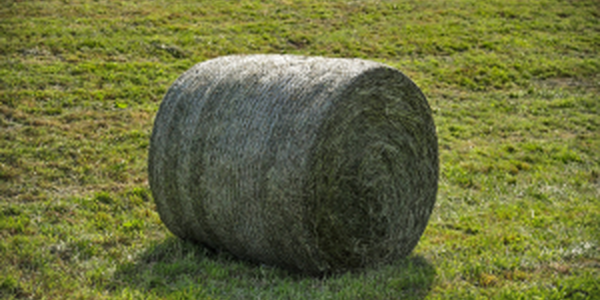 round hay bale